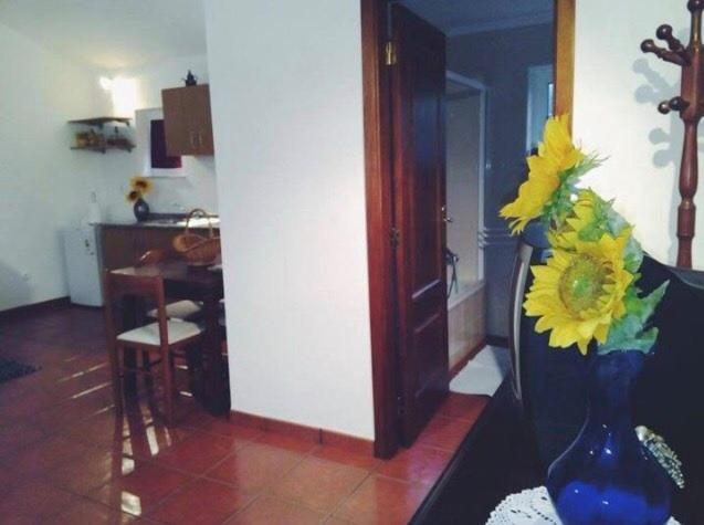 파레드스 드 코라 Casa Boavista 빌라 외부 사진